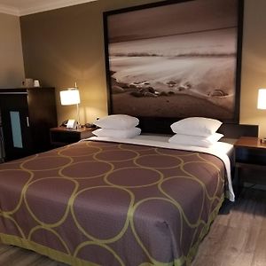 Chambre Accessible aux Personnes à Mobilité Réduite Lit King-Size